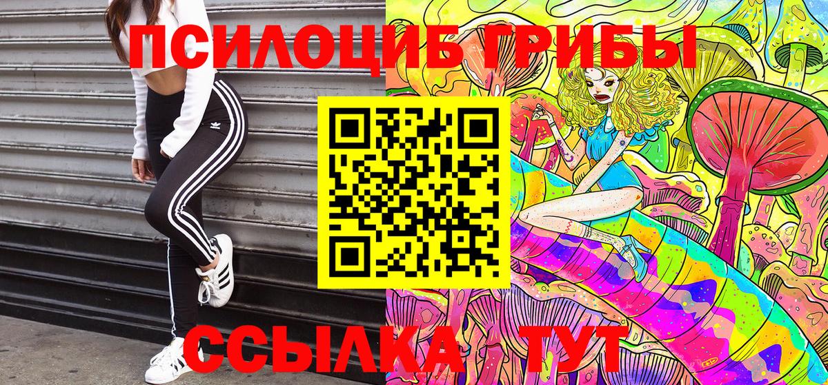 Кострома  Псилоцибиновые грибы Cubensis  Вход с VPN  Псилоцибиновые грибы MAGIC MUSHROOMS 